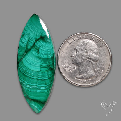 Malachite Cabochon