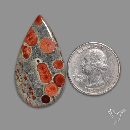 Peanut Obsidian Cabochon