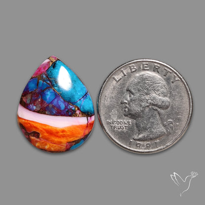 Spiny Oyster Mohave Turquoise Cabochon