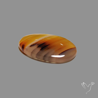 Montana Agate Cabochon