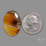 Montana Agate Cabochon