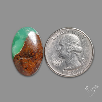 Boulder Chrysoprase Cabochon