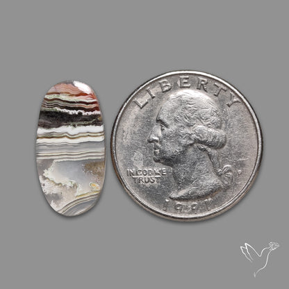 Crazylace Agates Pair