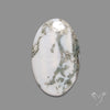 Tree Agate Cabochon