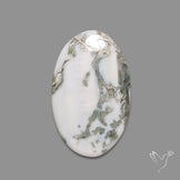 Tree Agate Cabochon