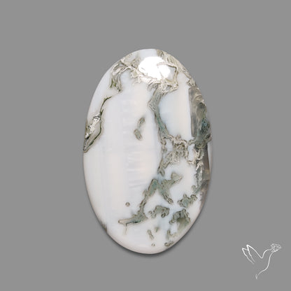Tree Agate Cabochon