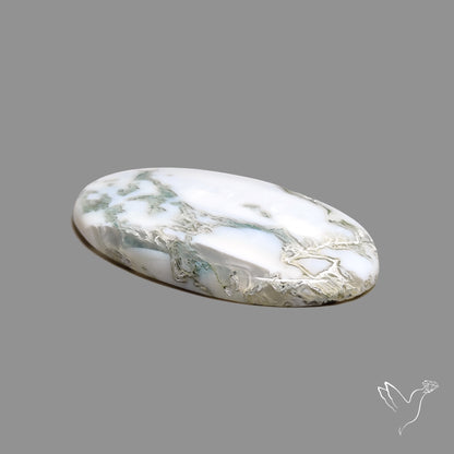 Tree Agate Cabochon