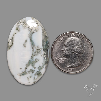 Tree Agate Cabochon