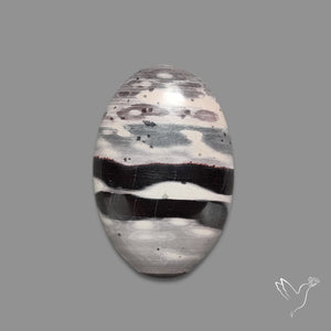Zebra Jasper Cabochon