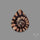 Ammonite Fossil
