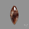 Arizona Petrified Wood Cabochon