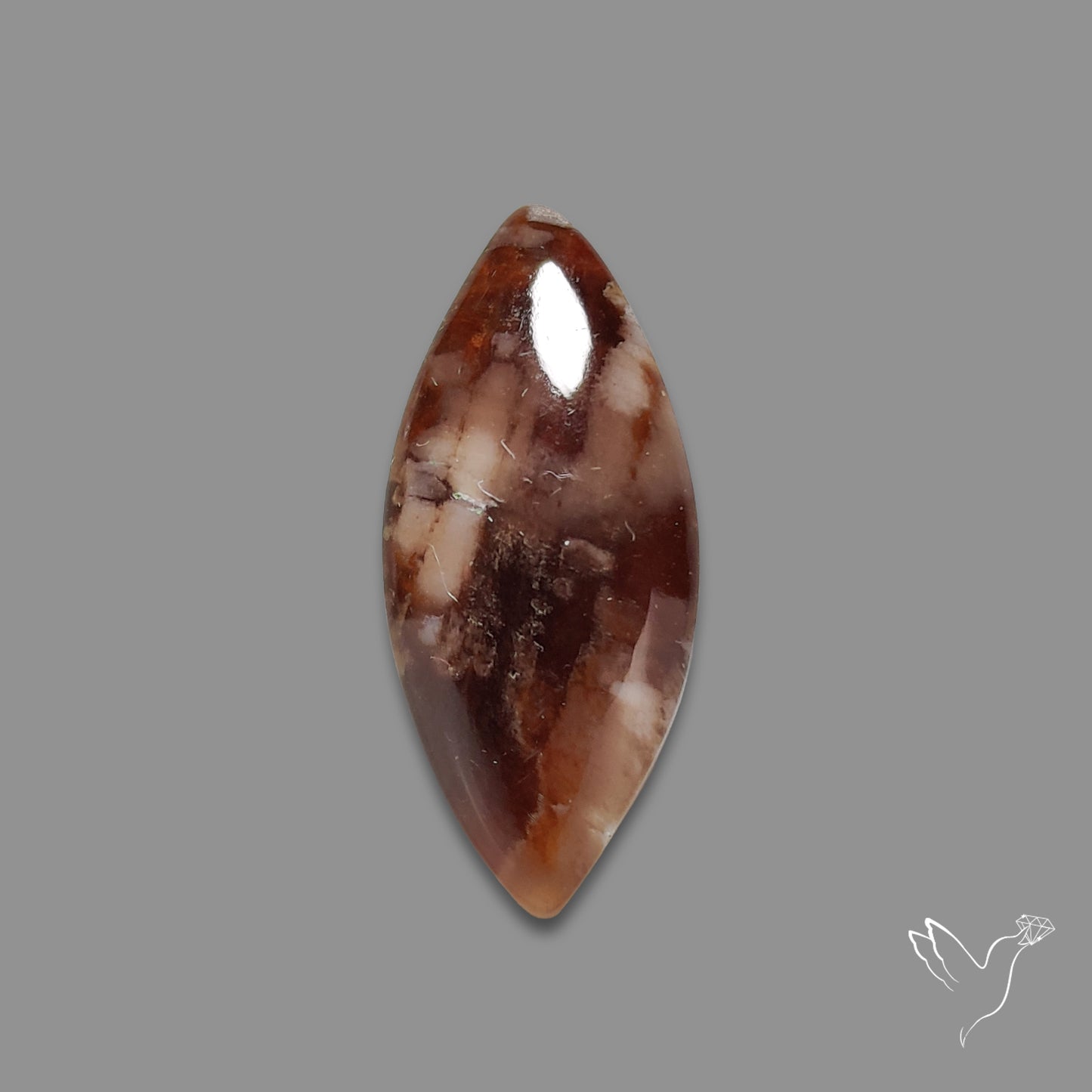 Arizona Petrified Wood Cabochon