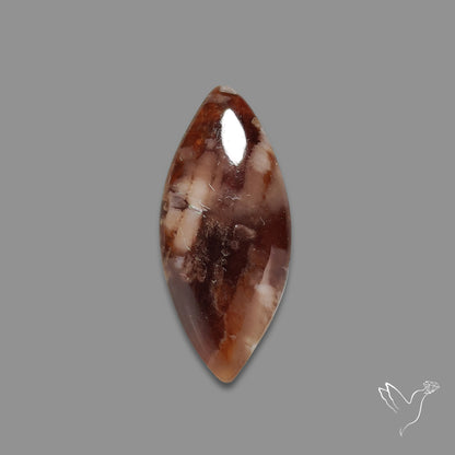 Arizona Petrified Wood Cabochon