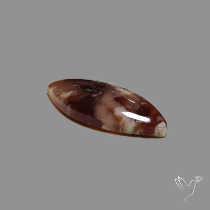 Arizona Petrified Wood Cabochon