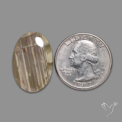 Imperial Jasper Cabochon