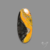 Bumble Bee Jasper Cabochon