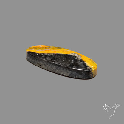 Bumble Bee Jasper Cabochon