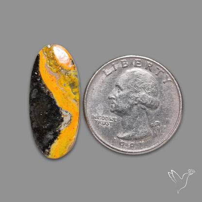 Bumble Bee Jasper Cabochon