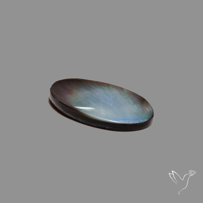 Black Mother Of Pearl Cabochon