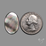 Black Mother Of Pearl Cabochon