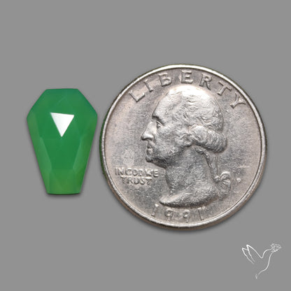 Rose Cut Gemmy Chrysoprase Coffin