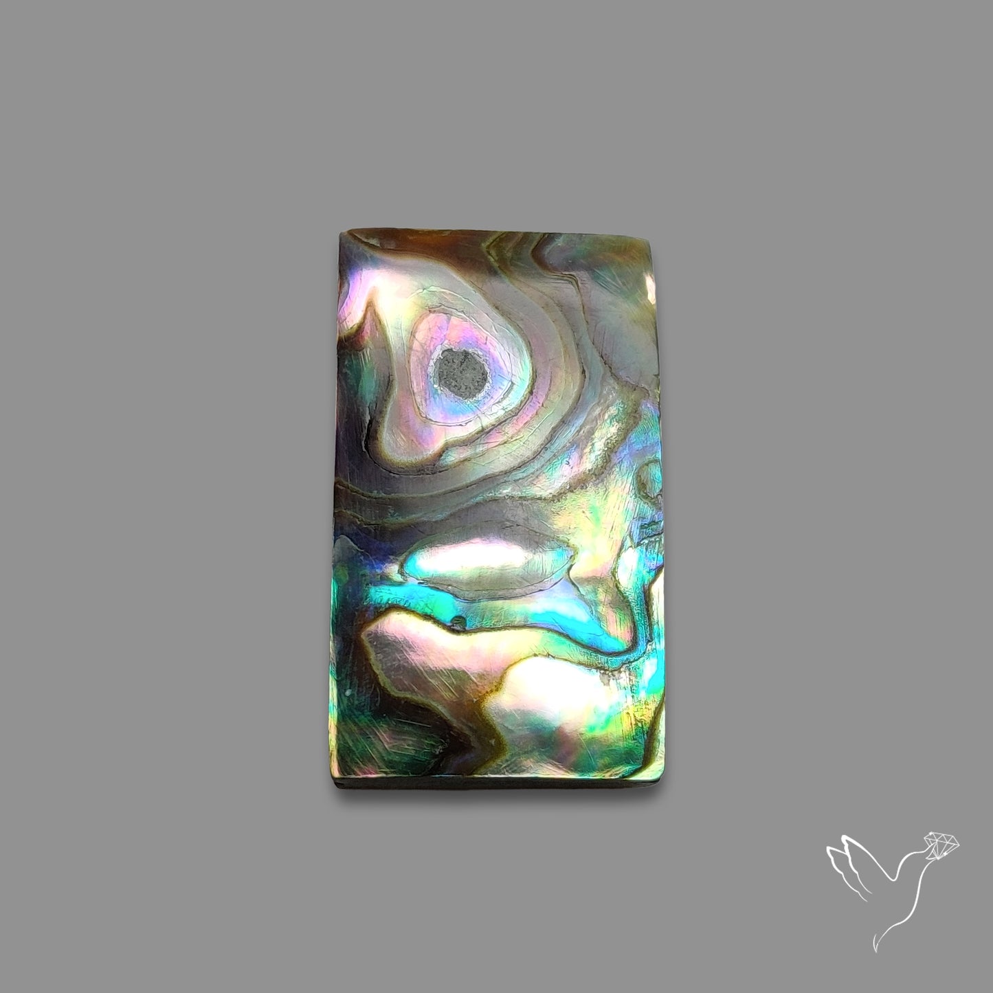 Abalone Shell