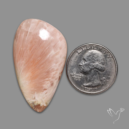 Pink Scolecite Cabochon