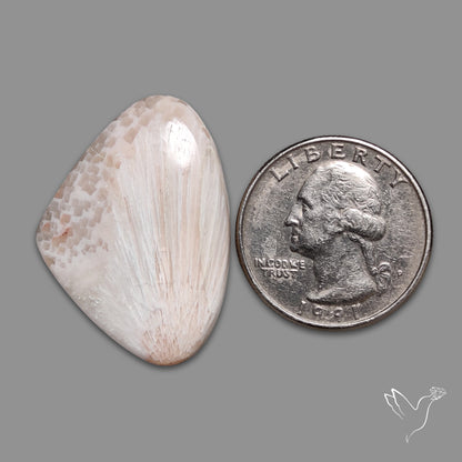 Pink Scolecite Cabochon