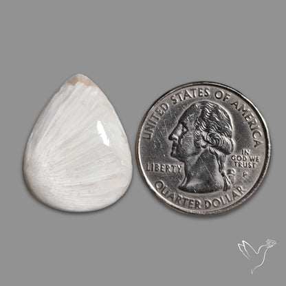 White Scolecite Cabochon