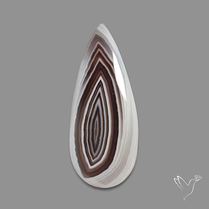 Botswana Agate Cabochon