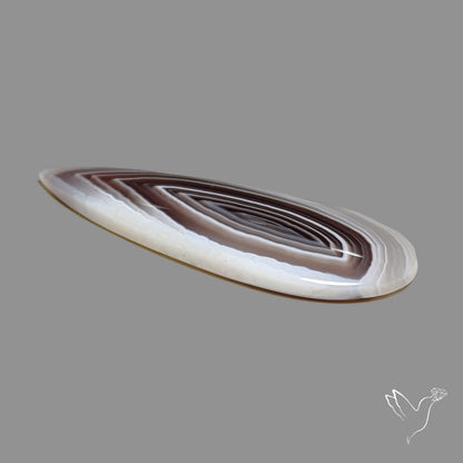 Botswana Agate Cabochon