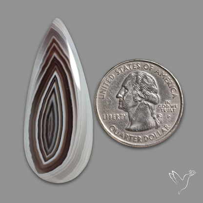 Botswana Agate Cabochon
