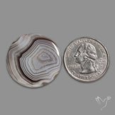 Botswana Agate Cabochon