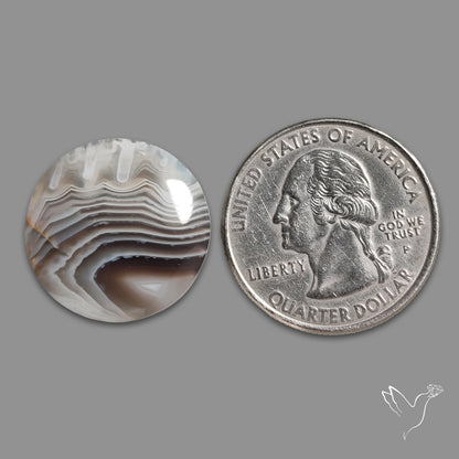 Botswana Agate Cabochon