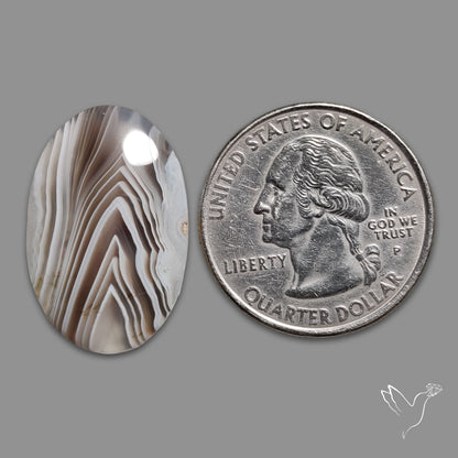 Botswana Agate Cabochon