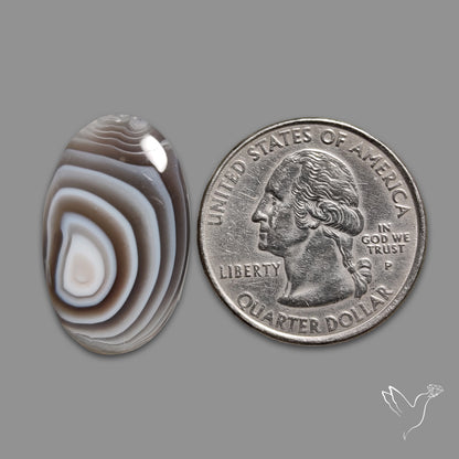Botswana Agate Cabochon