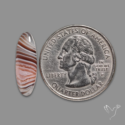 Botswana Agate Cabochon