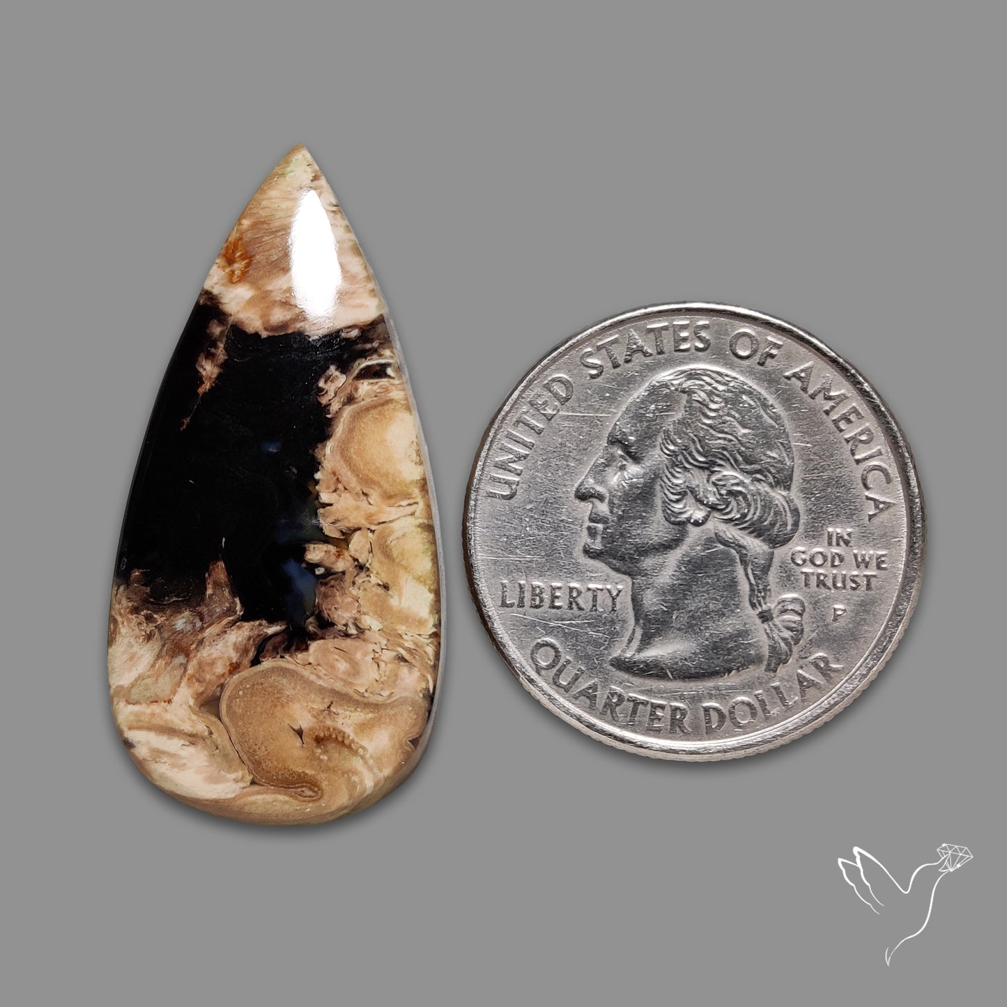 Indonesian Palmroot Agate Cabochon