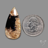 Indonesian Palmroot Agate Cabochon