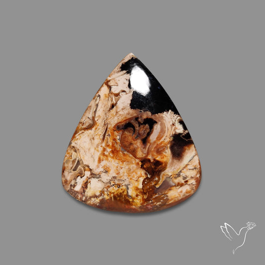Indonesian Palmroot Agate Cabochon