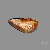 Indonesian Palmroot Agate Cabochon