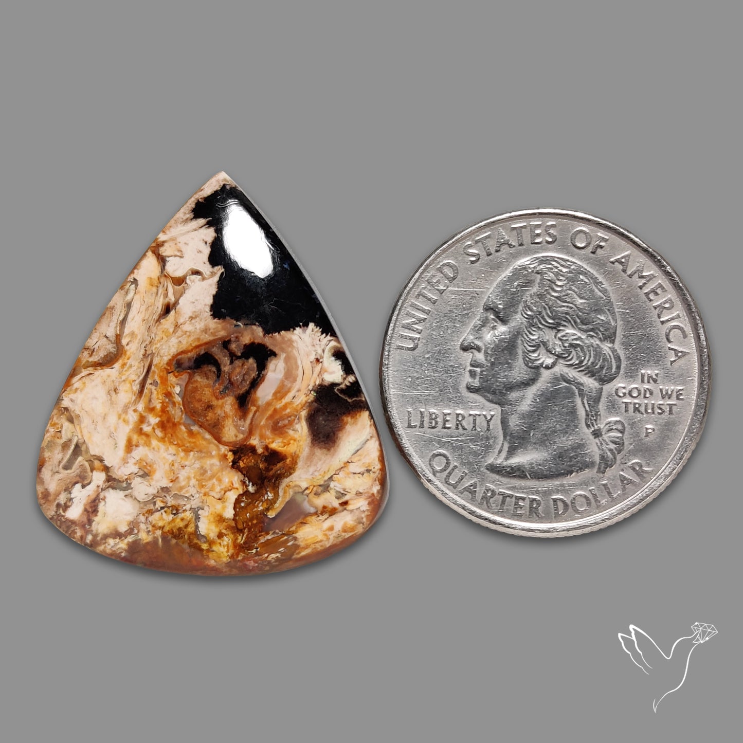Indonesian Palmroot Agate Cabochon