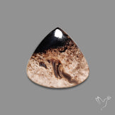 Indonesian Palmroot Agate Cabochon