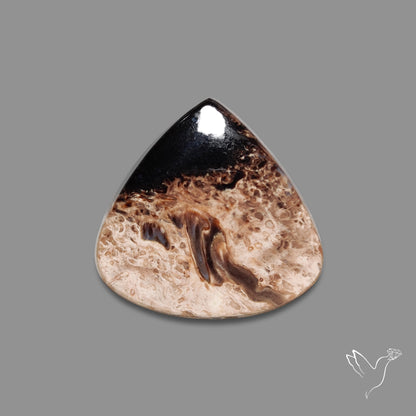 Indonesian Palmroot Agate Cabochon