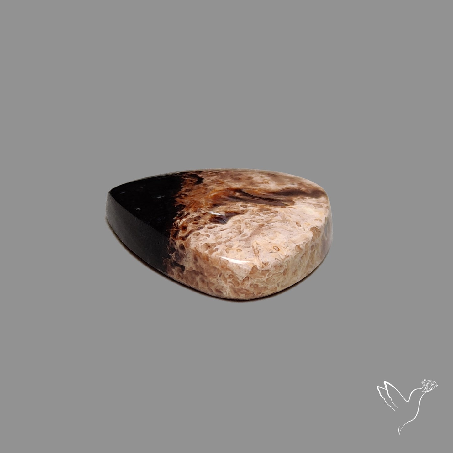 Indonesian Palmroot Agate Cabochon