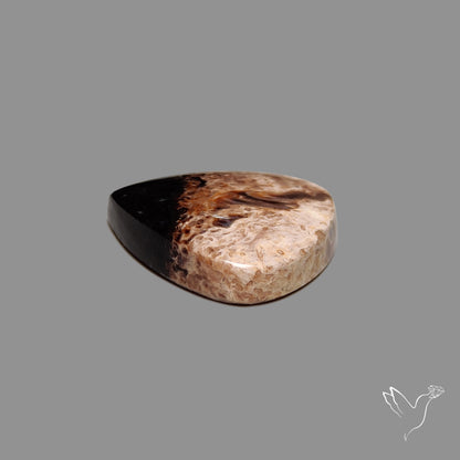 Indonesian Palmroot Agate Cabochon