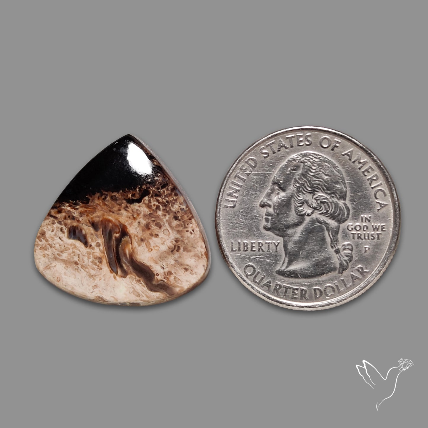 Indonesian Palmroot Agate Cabochon