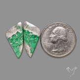 Lucin Variscites Pair