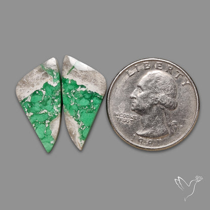 Lucin Variscites Pair