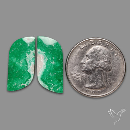 Lucin Variscites Pair